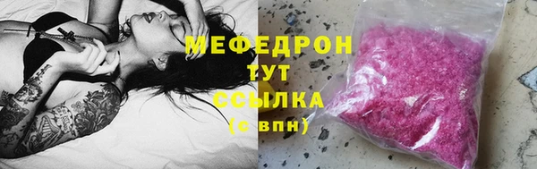 сатива Каменка