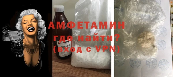 сатива Каменка