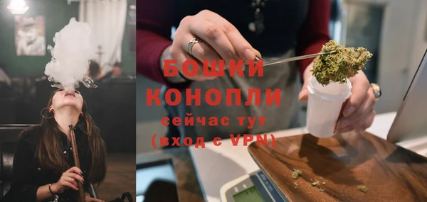 сатива Каменка