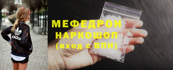 сатива Каменка