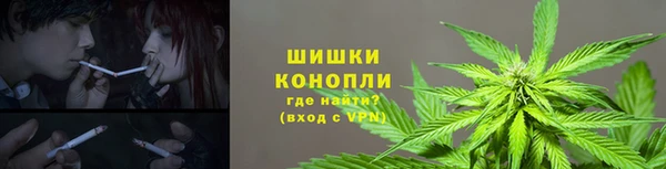 сатива Каменка