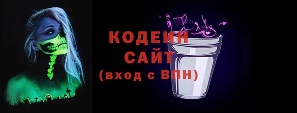 МДПВ Каменногорск