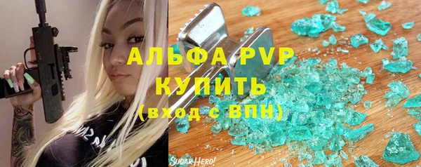 сатива Каменка