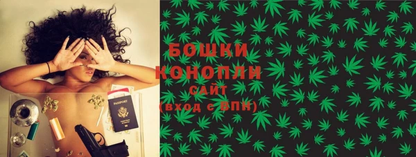 сатива Каменка