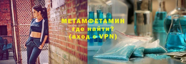 сатива Каменка