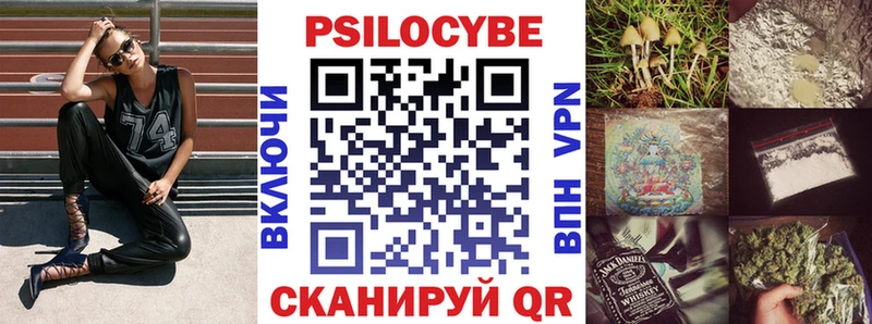 Купить закладки  Сокол  Псилоцибиновые грибы Psilocybe 